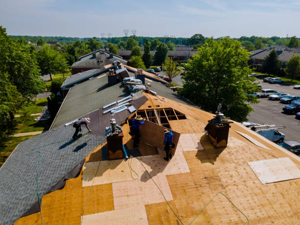 Best Flat Roof Repair Services  in Reidland, KY