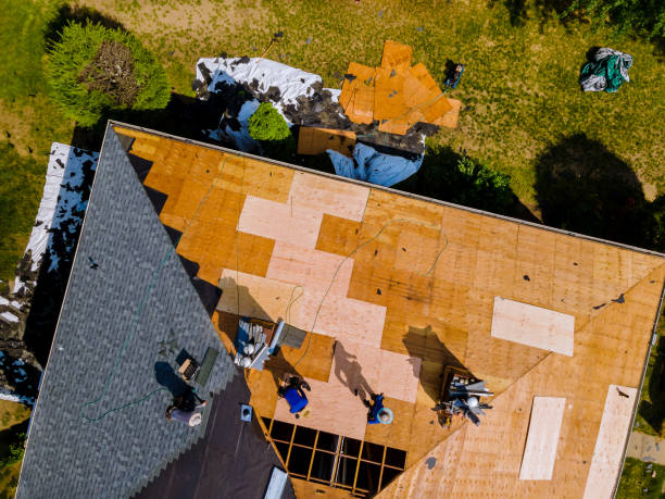 Best Emergency Roof Repair  in Reidland, KY