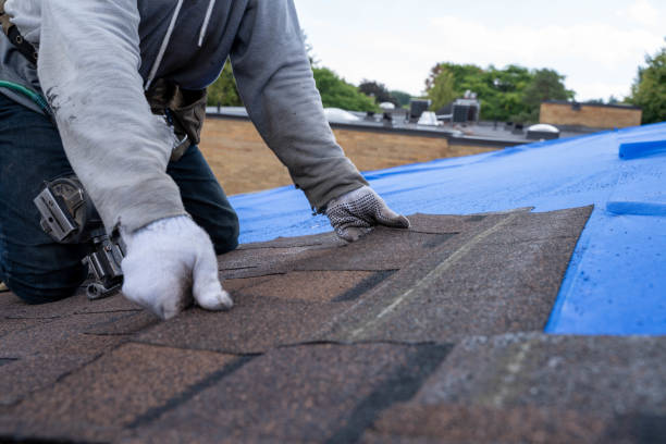 Best Gutter Installation and Roofing  in Reidland, KY