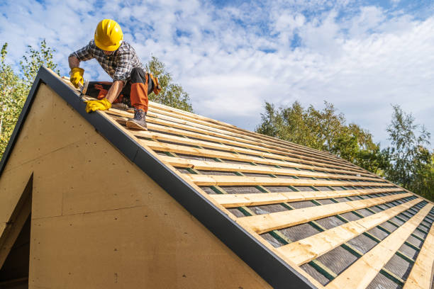 Best Roof Maintenance Services  in Reidland, KY