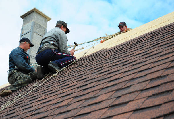 Quick and Trustworthy Emergency Roof Repair Services in Reidland, KY