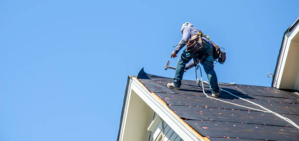 Professional Roofing Contractor in Reidland, KY